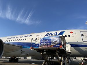 All Nippon Airways spúšťa novú linku medzi Istanbulom a Tokiom